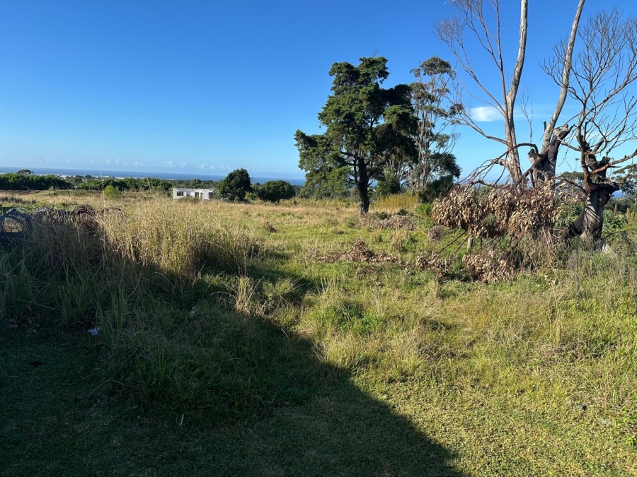 Commercial Property for Sale in Graceland Eastern Cape